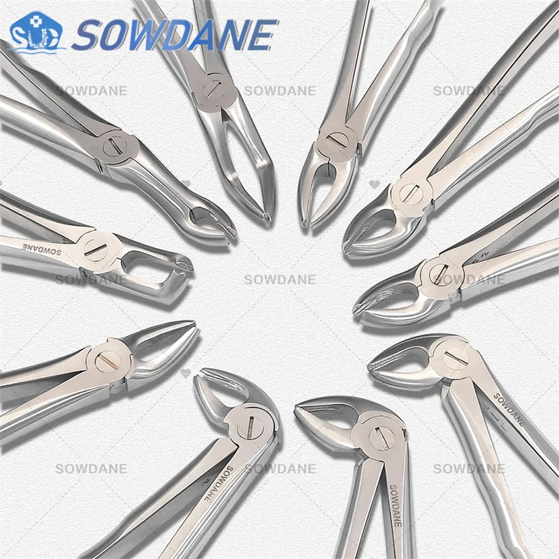 High Quality Dental Adult Tooth Extraction Plier Forcep Teeth Extraction Plier Forcep Dental Surgical Tool Instrument