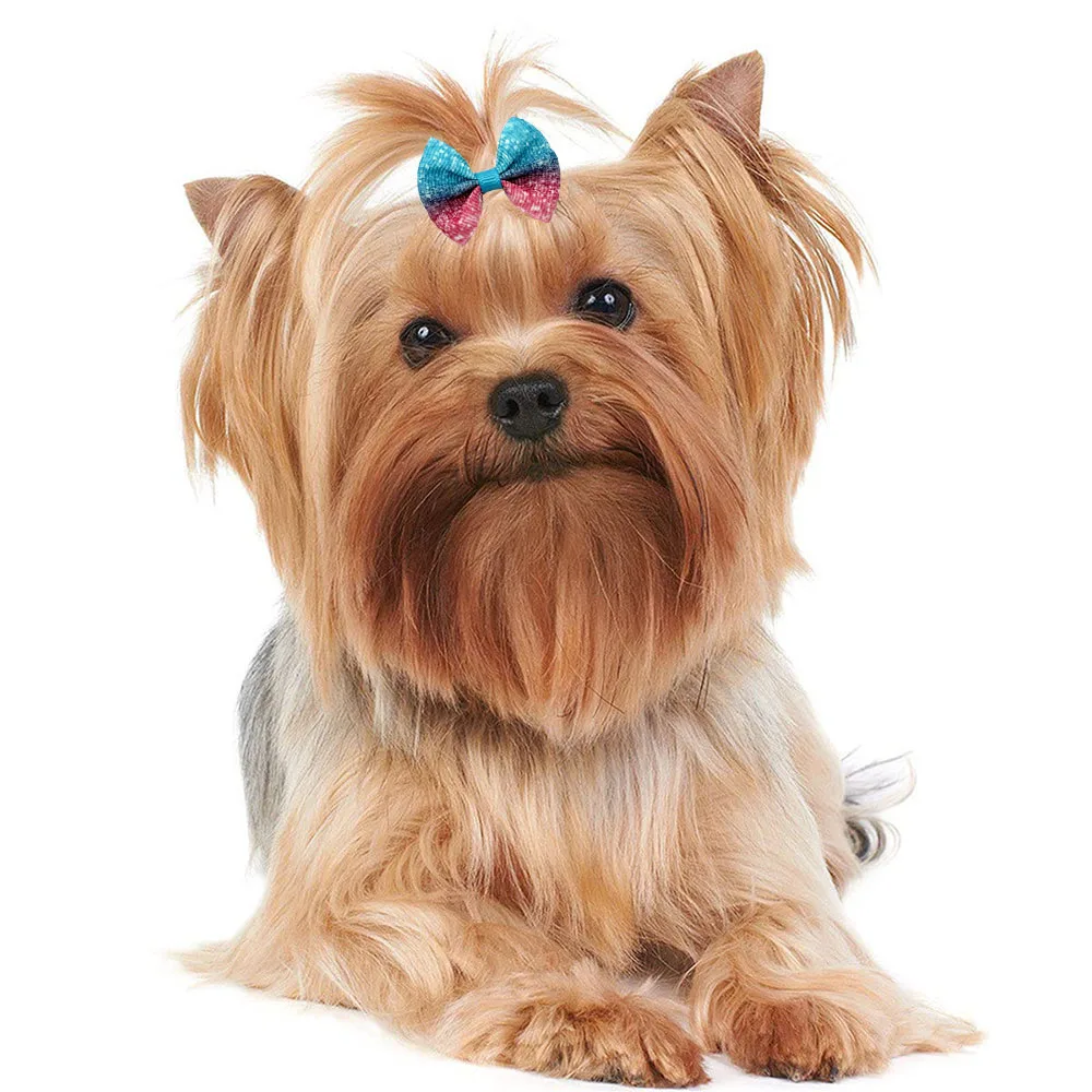 100PCS Gradient Color Dog Hair Bows Decorate Dog Hair Bows Cute Puppy Hair Accessories with Rubber Bands for Small Dog Supplies