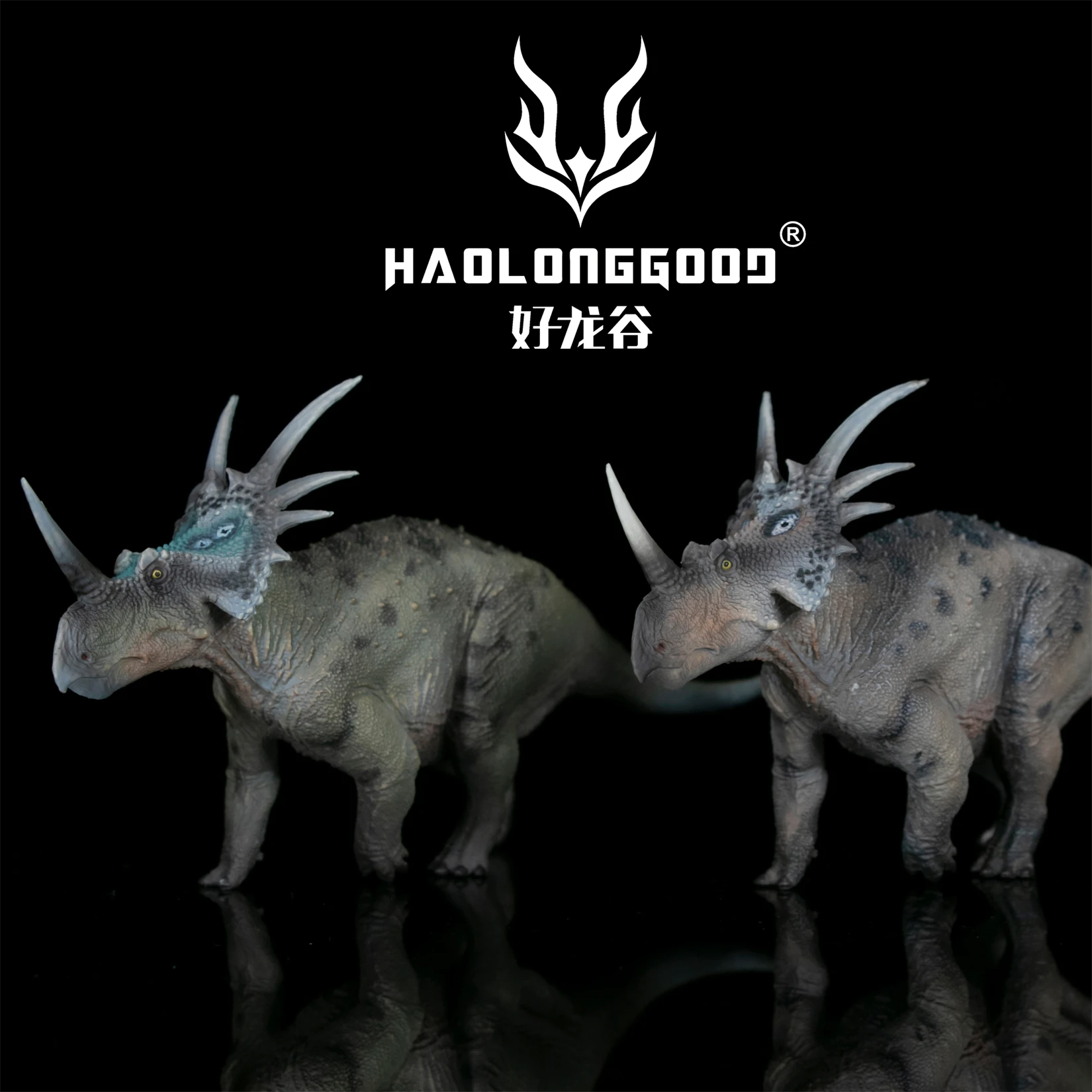 HAOLONGGOOD 1:35 Styracosaurus Model Cerapoda Dinosaur Herbivorous Animal Figure Collection Scene Decoration Birthday Gift