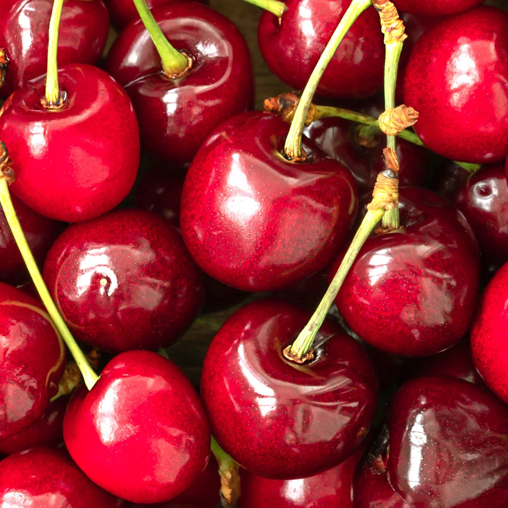 Scopri i Prodotti Esotici del Marchio Connoli su AliExpress