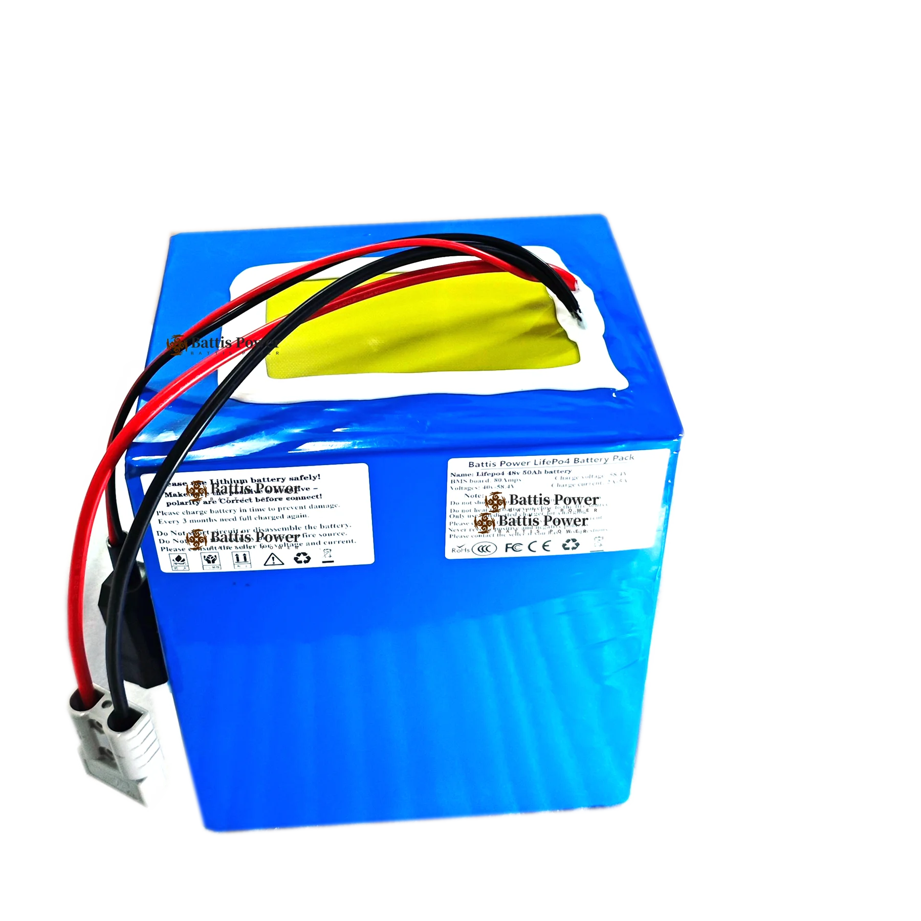 Batterie lithium-ion 60V, 100Ah, avec BMS, pour scooter 3500/6000W, AGV, chargeur 10A inclus.