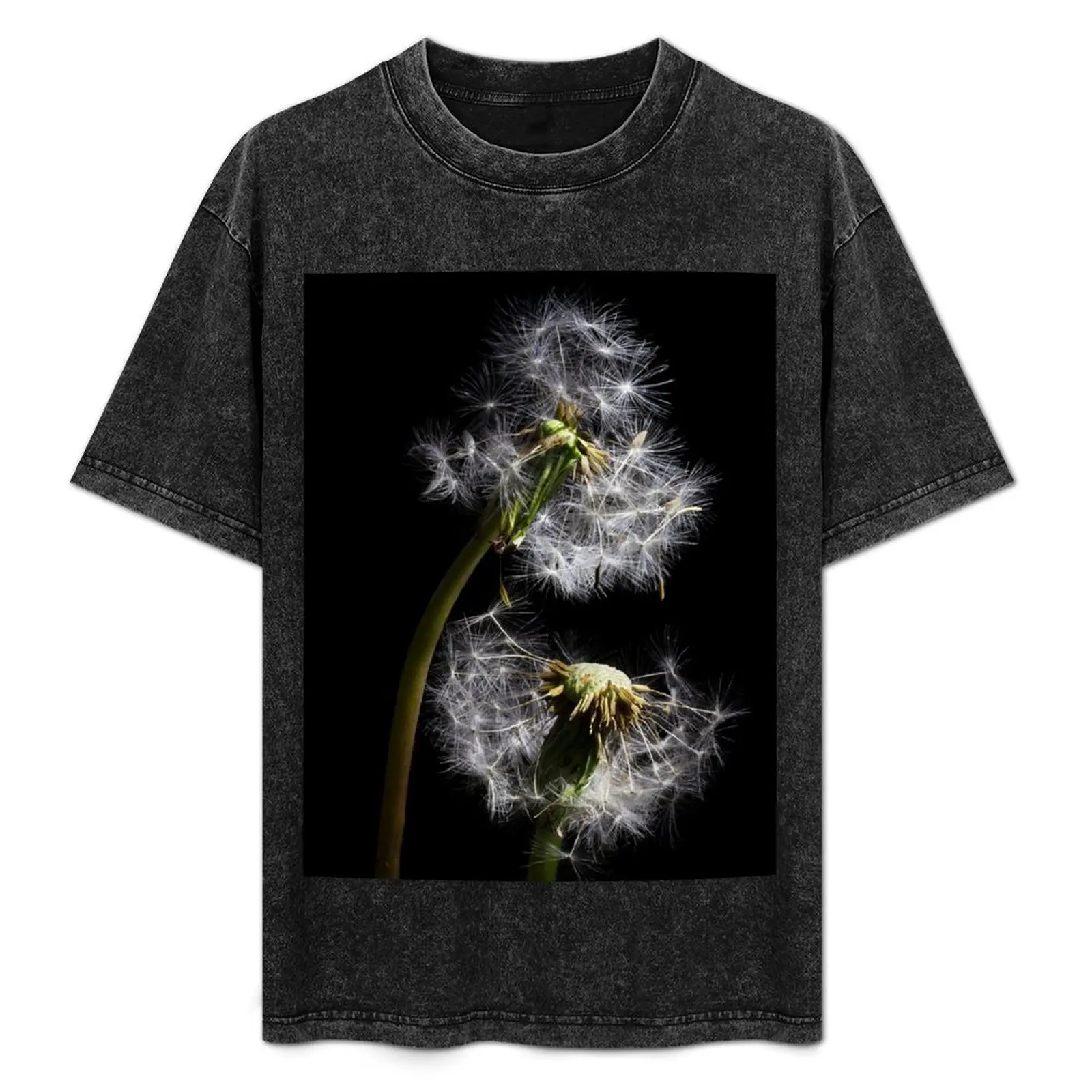 

Dandelion Love T-Shirt Plus Size Lightweight Top
