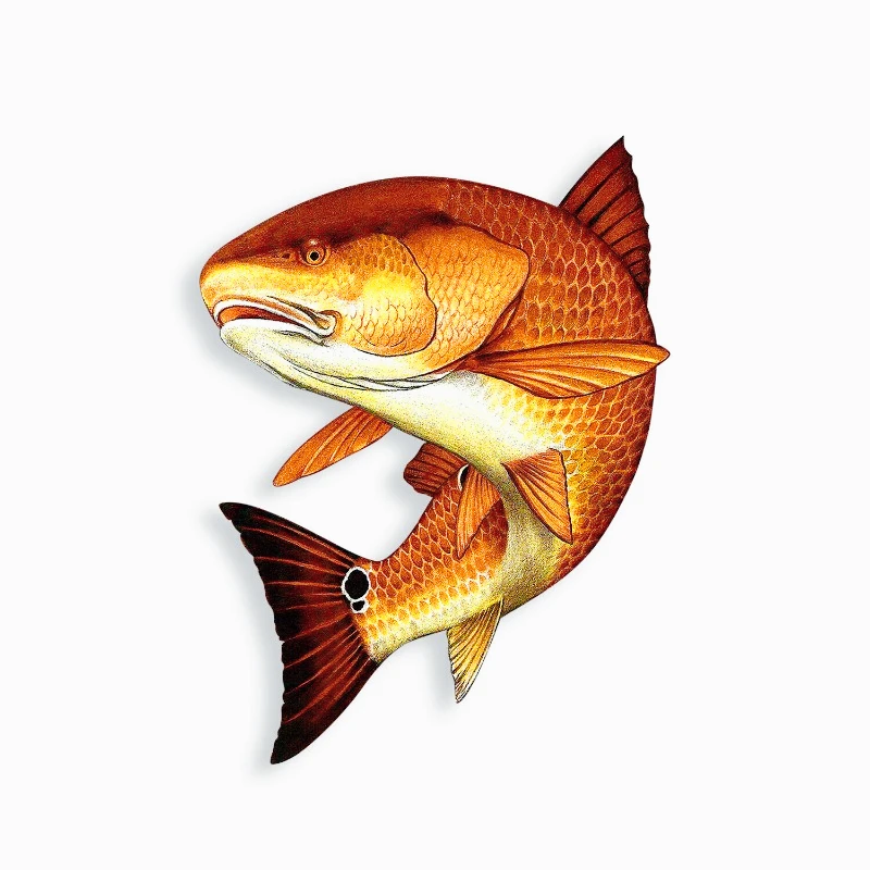 

Car decoration decals Red fish Sticker Swim Fishing Boat Tackle box Cup Laptop Car Window Bumper Decal 15cm PVC KK