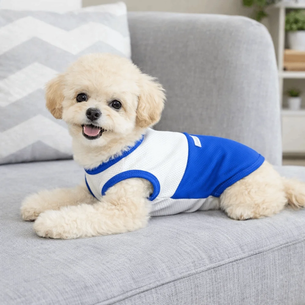 

Casual Style Two-Tone Design Pet Mesh Vest Breathable Comfortable Fit Short Sleeve Lightweight Thin Su Dog Clothing Daily Walk