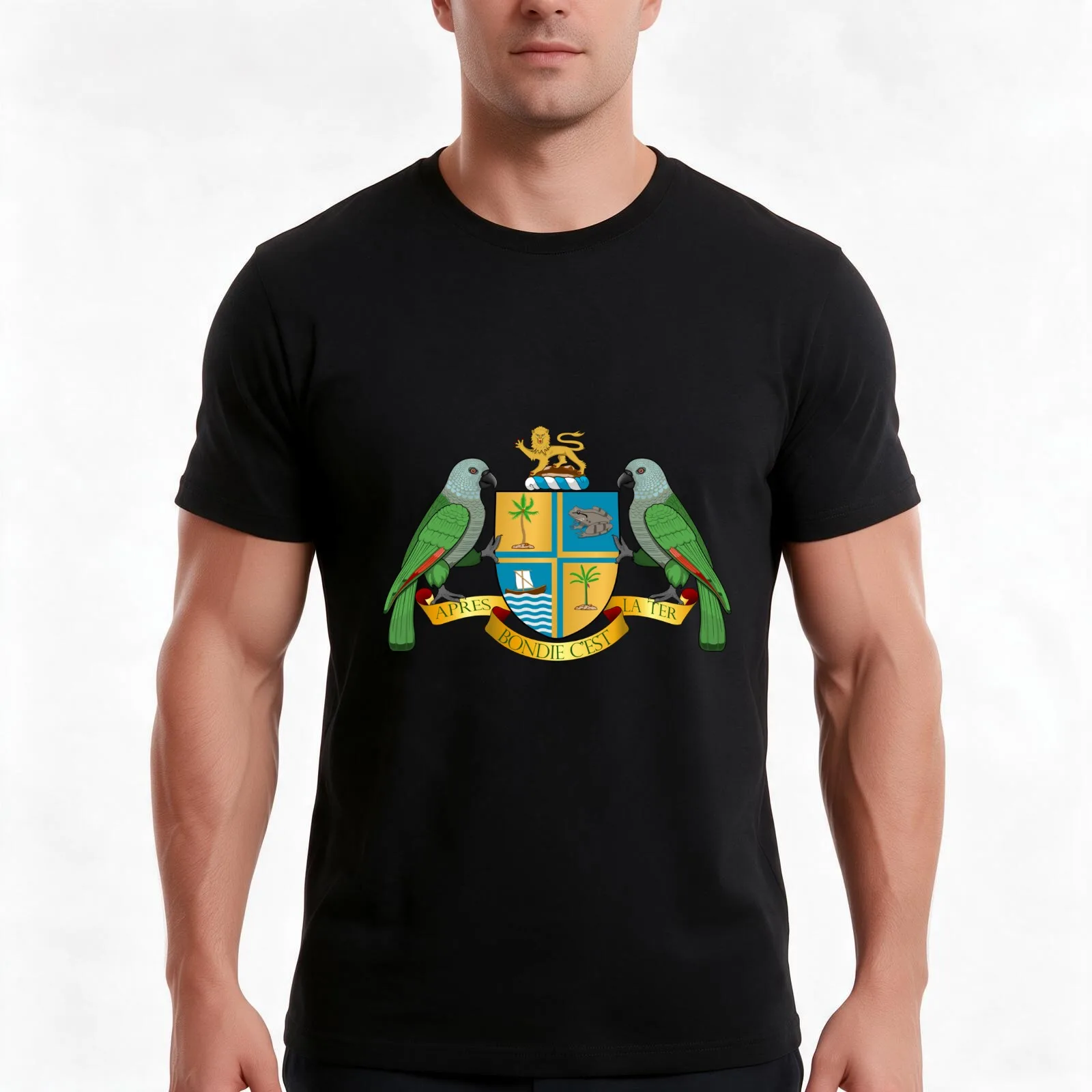 Coat of arms of Dominica T-Shirt, Summer Casual Cotton Tee, Oversized Streetwear Tops, Vintage Graphic Print, Unisex Men Women