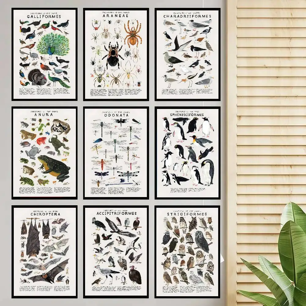 Woodland Animals Genus Generic Evolution Nursery Poster Self-adhesive Art Room Entrance Restaurant Wall Decor Art Painting