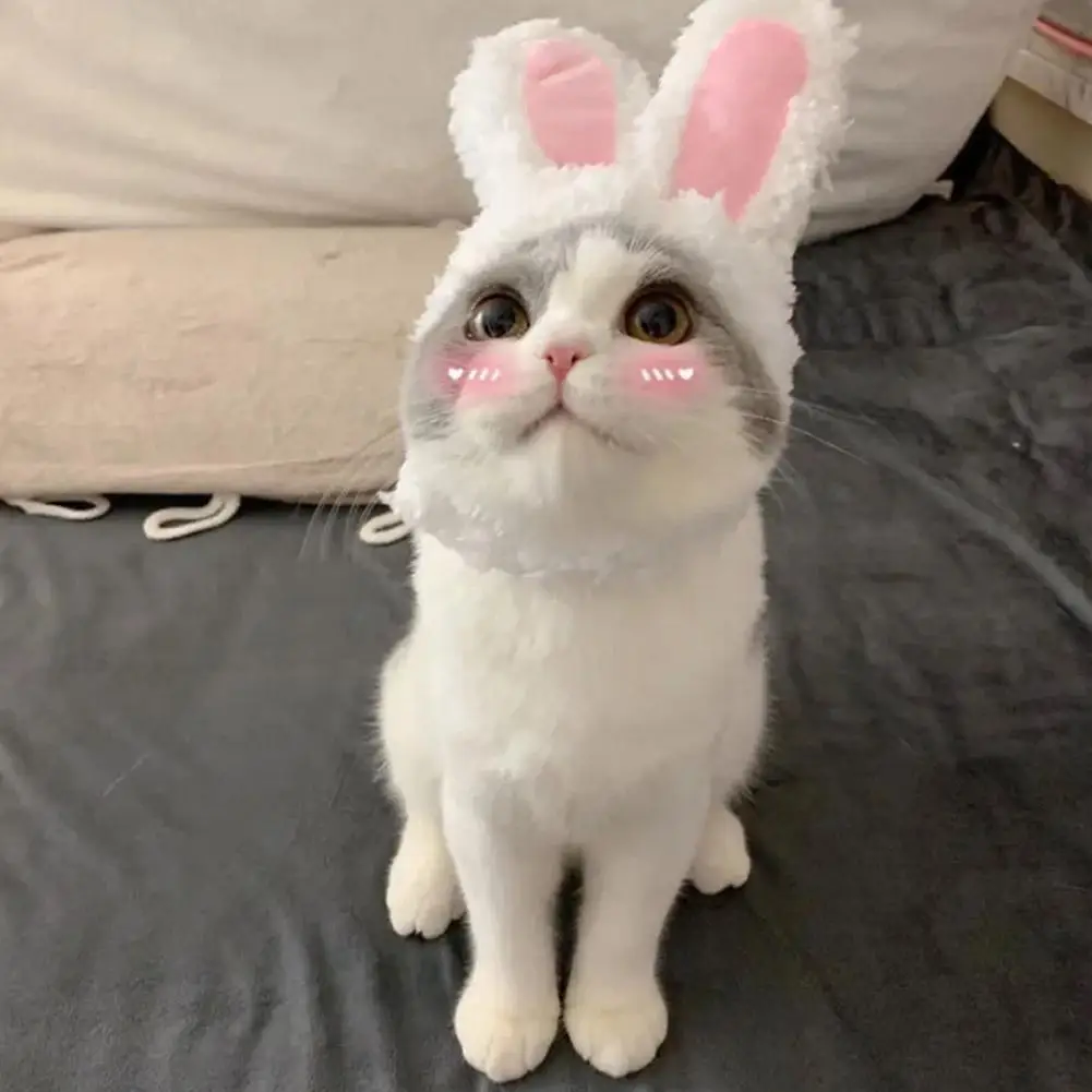 Cat Decorative Pet Products New Warm Cat Head Cover Rabbit Ear Plush Hat Lamb Accessories Pet Hat Cat Clothes  S9M7