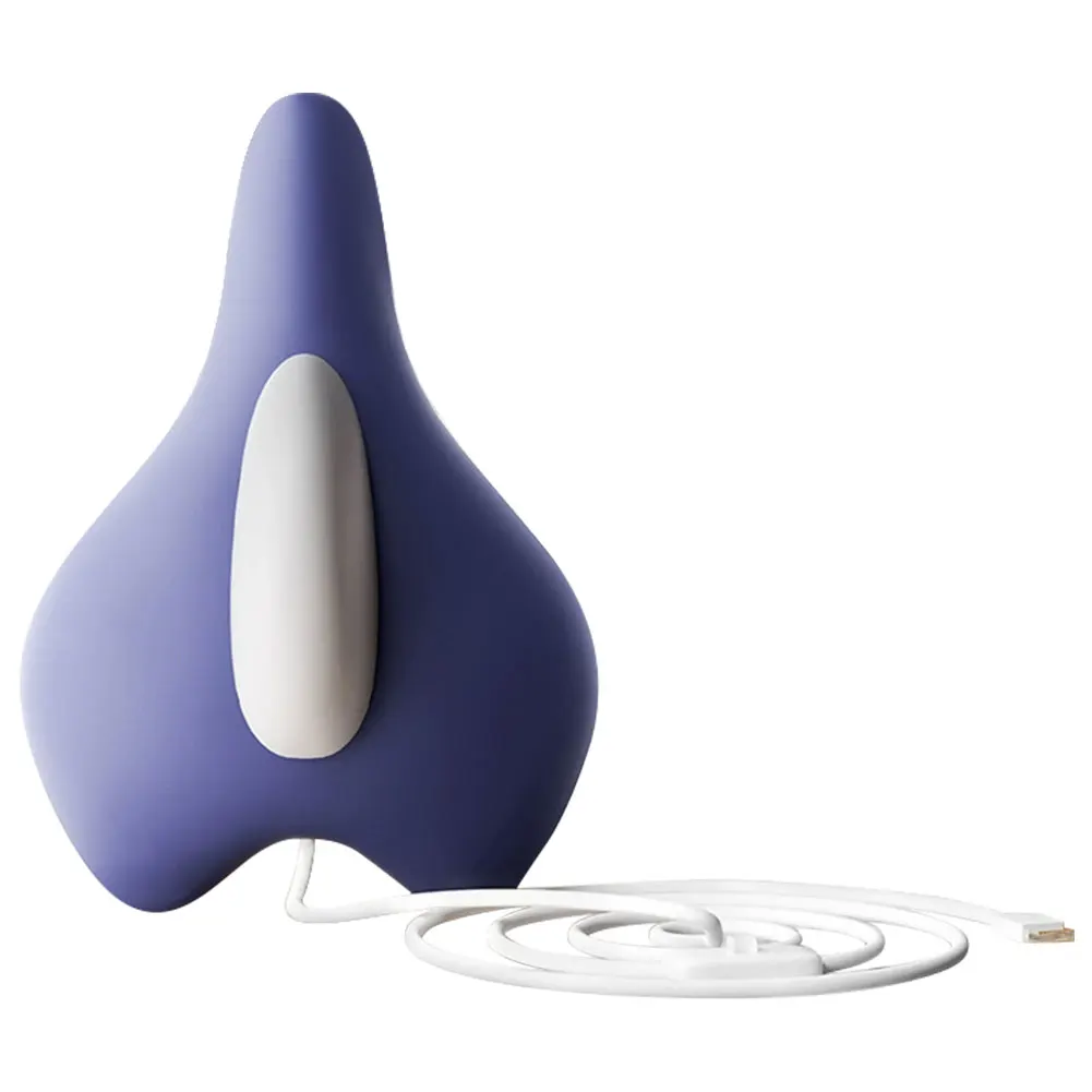 Pelvic Floor Muscle Trainer 4 Modes Bladder Trainer USB Rechargeable Electric Sphincter Trainer USB Plug In for Home Gym Office
