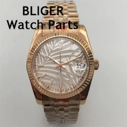 BLIGER 36mm/39mm Silver Dial Rose Gold  Numbers NH35A  Automatic Mens Watch Sapphire Glass