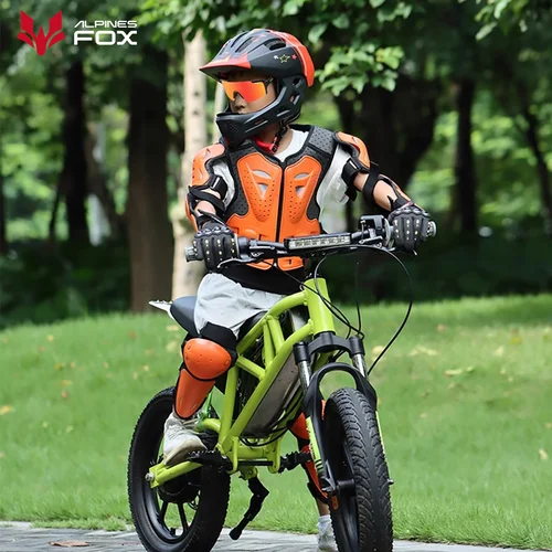 Imagen 2 del producto Traje de armadura de motocicleta para niños, Protector de pecho y espalda para moto de cross, equipo de protección para niños, esquí, patinaje, coderas y rodilleras