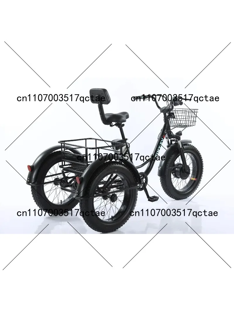 20 Inch Pedal Electric Tricycle Battery Bike AA48V12AH 30AH 500W