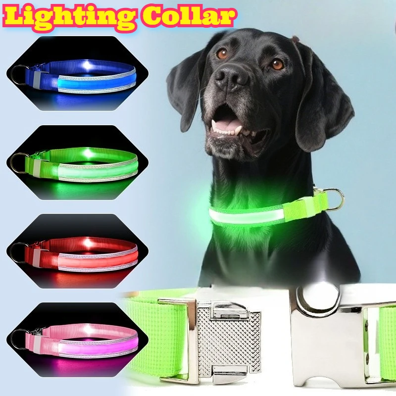 

LED Fiber Optic Glowing Dog Collar Rechargeable USB Bright Adjustable Metal Buckle Night Safety High Visibility Walking Outdoor