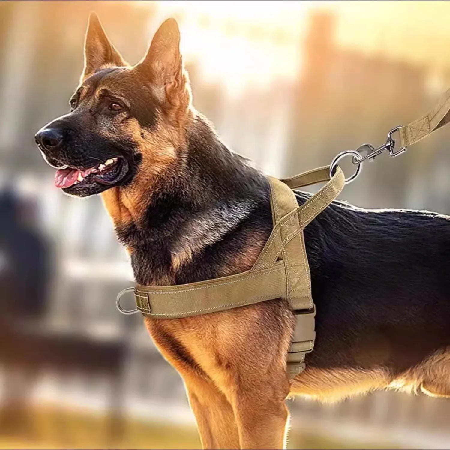 Dog Tactical Vest Nylon Outdoor Water-Repellent Dog Clothing Large and Medium-sized Dog Training Vest Harness Traction - view 2