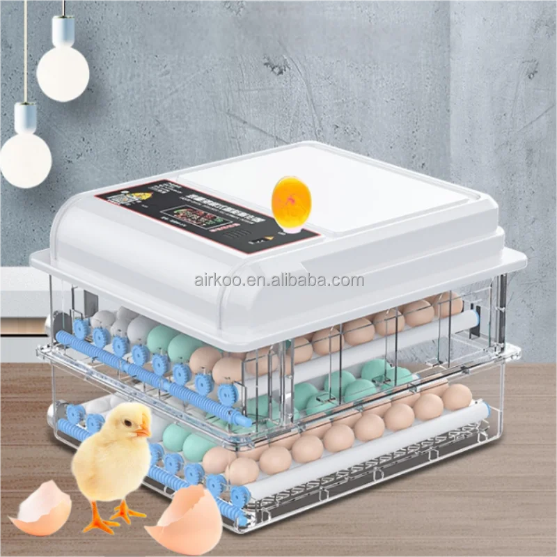 Dual Power Mini Automatischer Eierinkubator Gebrauchte Oeuf-Café mit digitalen Funktionen