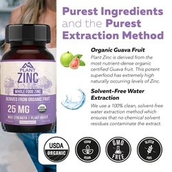 Organic Zinc Supplement 25mg Water Extract, Vegetarian, Non GMO - Essential Minerals, Antioxidants, Immunity, Skin -60 Capsules