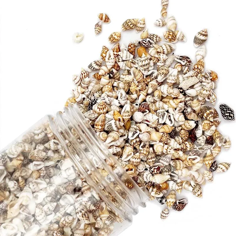 Tiny Sea Shells, Mixed 20g about 100pcs Ocean Beach Spiral Seashells Craft Charms for Home Decorations Candle Making, DIY Crafts
