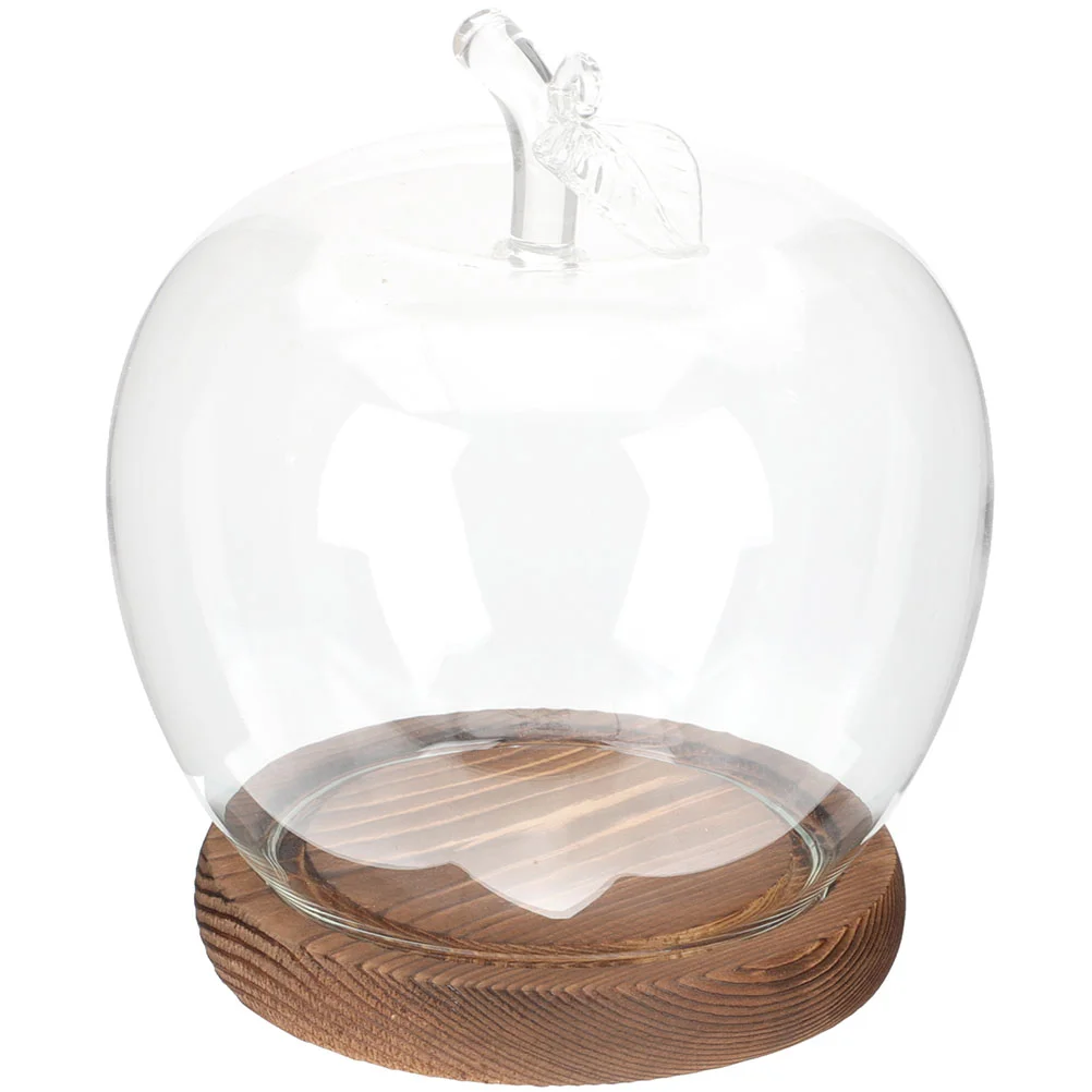 

Apple Glass Cover Display Case Bell Jar Flower Dried Flowers Delicate Decor Dome