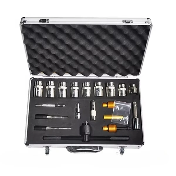 20pcs Common Rail Injector Repair Tool Kit for Injector Dismantling