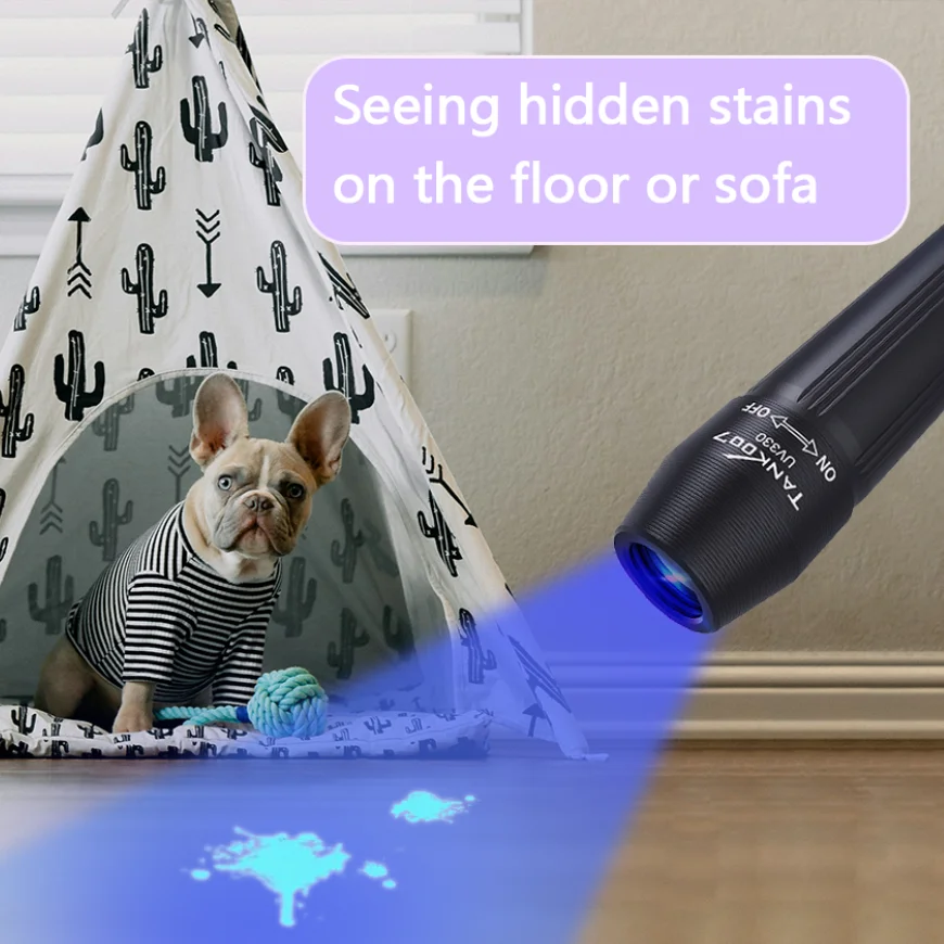 UV365 ultraviolet flashlight for detecting pet cat and dog stains, indoor and outdoor bugs, compact and portable