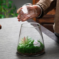 Micro Landscape Moss Bottle Glass with Lid Fresh Green Moss Bottle Terrarium Bonsai Desktop Home Decoration