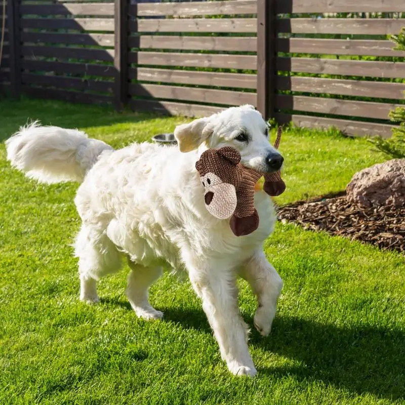 Jouets en peluche à mâcher pour animaux de compagnie, singe mignon, jouets grinçants pour chiens, super doux, livres de dents, accessoires