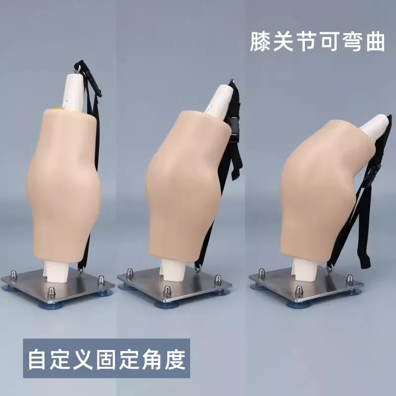 

Тренировочная модель человеческого коленного сустава, arthroscope с регулируемым фокусом на 30 градусов