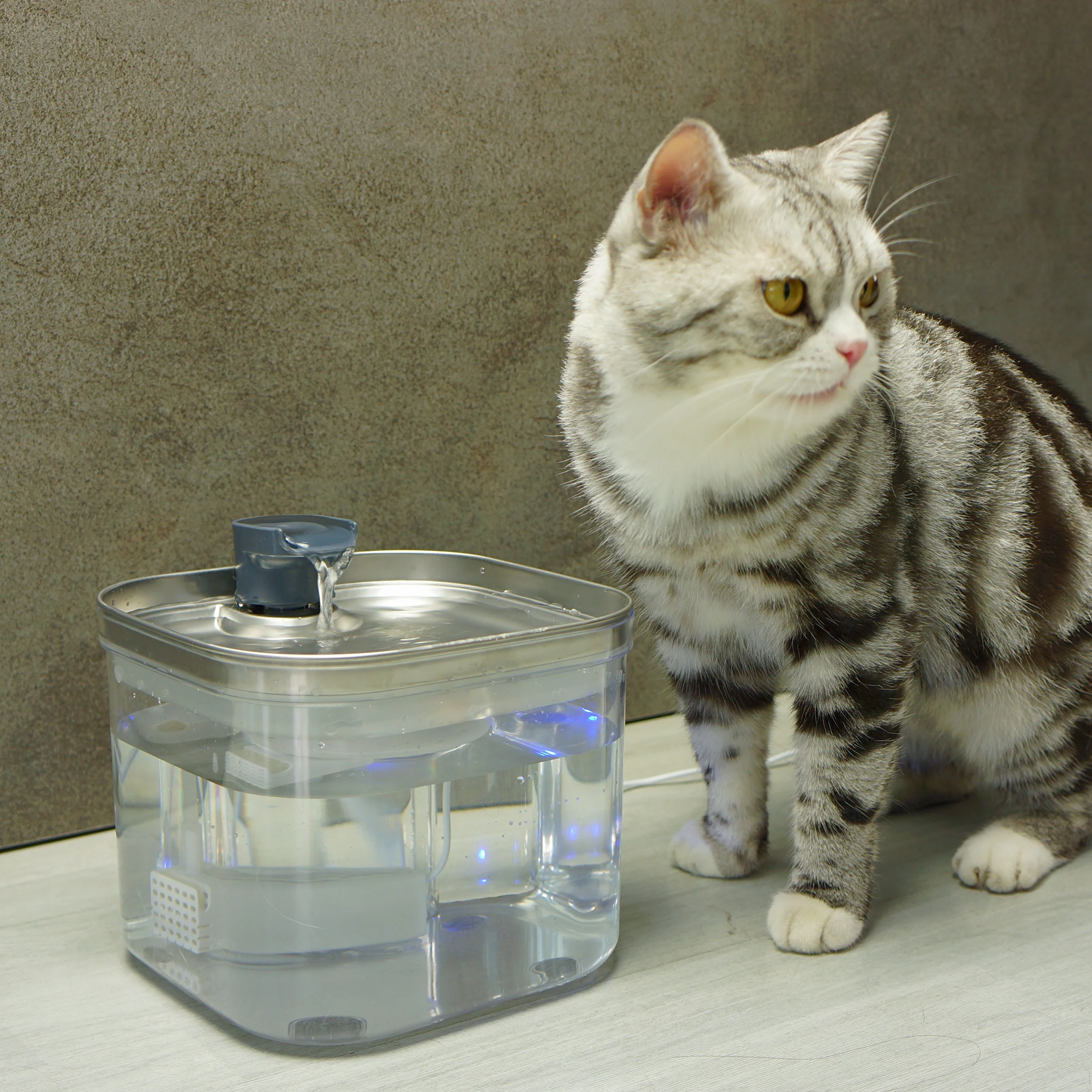 

Smart Automatic Pet Water Fountain 2L Recirculate Filtering Pet Drinking Dispenser for Dogs and Cats