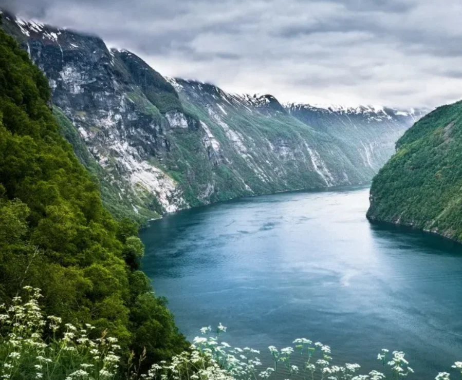 

001E 002E Радиоуправляемый автомобиль 4WD в масштабе 1:14, высокоскоростной бесщеточный двигатель 60 км/ч, водонепроницаемый вездеход RTR для бездорожья