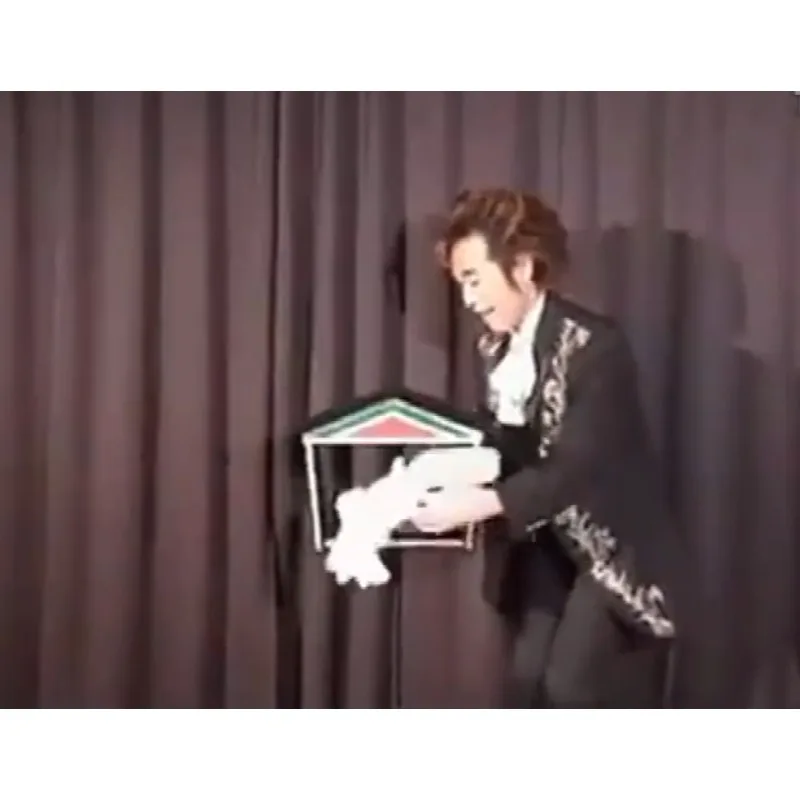  أوهام الحفلة الحمائم المزدوجة في البالون - خدعة سحرية للتحكم عن بعد لاسلكية، حمامة فورية تظهر للتحايل للسحرة الأيل #3