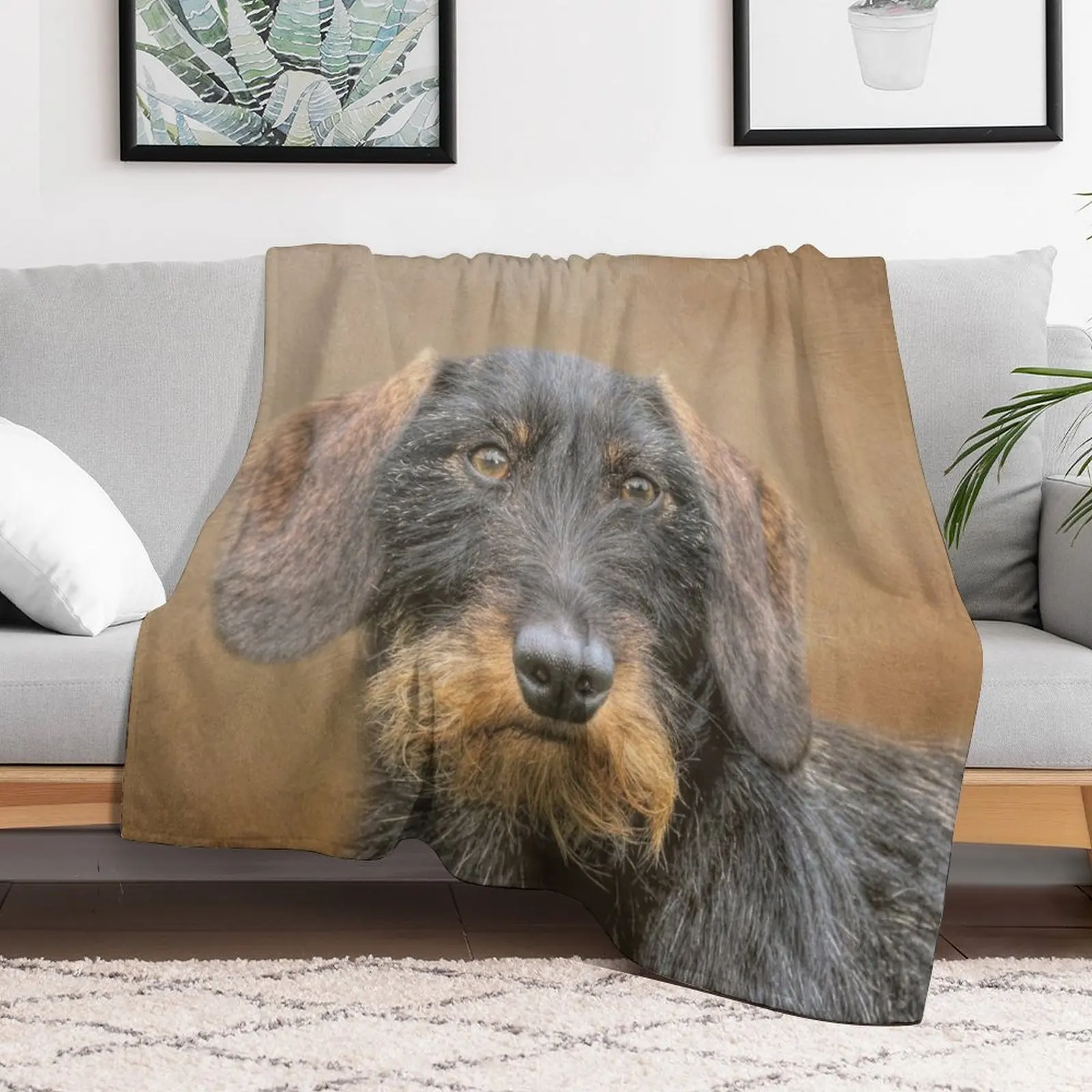 

Wire-Haired Dachshund Throw Blanket Luxury Brand Soft Plaid For Baby Blankets