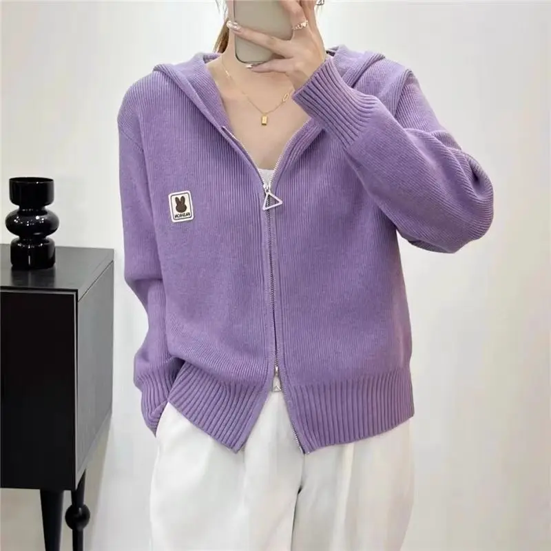 Hooded Knitted Cardigan Autumn New Women\'s Fashion Western Sweater Short Coat Top