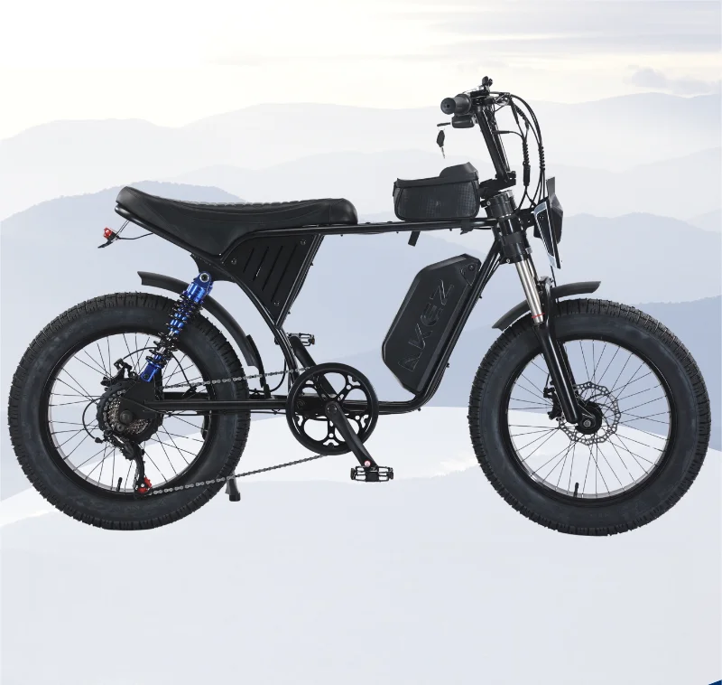 2025 New AKEZ 20 Inch 48V 750 Watt Fat Ebike Remote Electric Mountain Bike Adult Assisted Full Suspension Electric Dirt Bike image 5