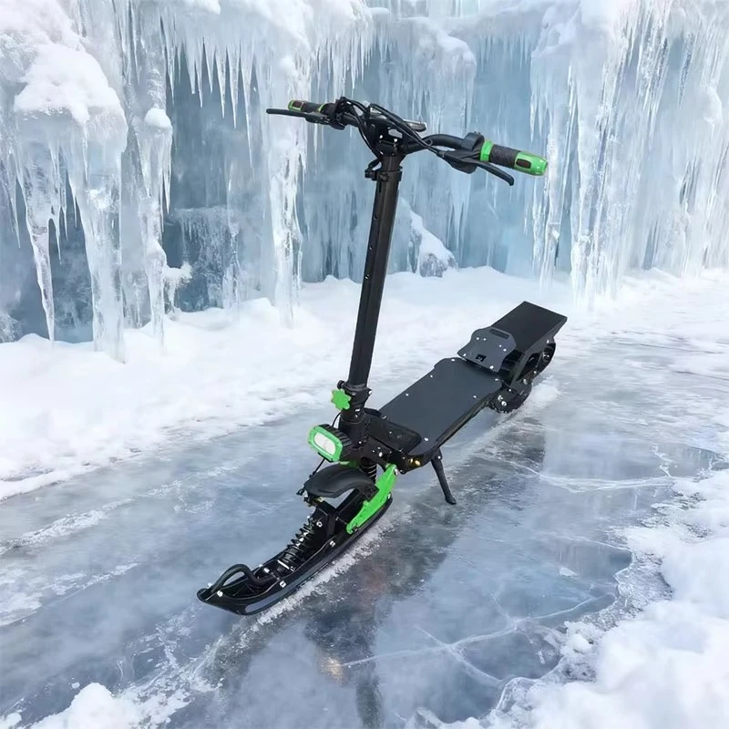 HL-GS-11 2-in-1 Stand-Up Snowmobile & Electric Scooter - 800W All-Terrain Vehicle