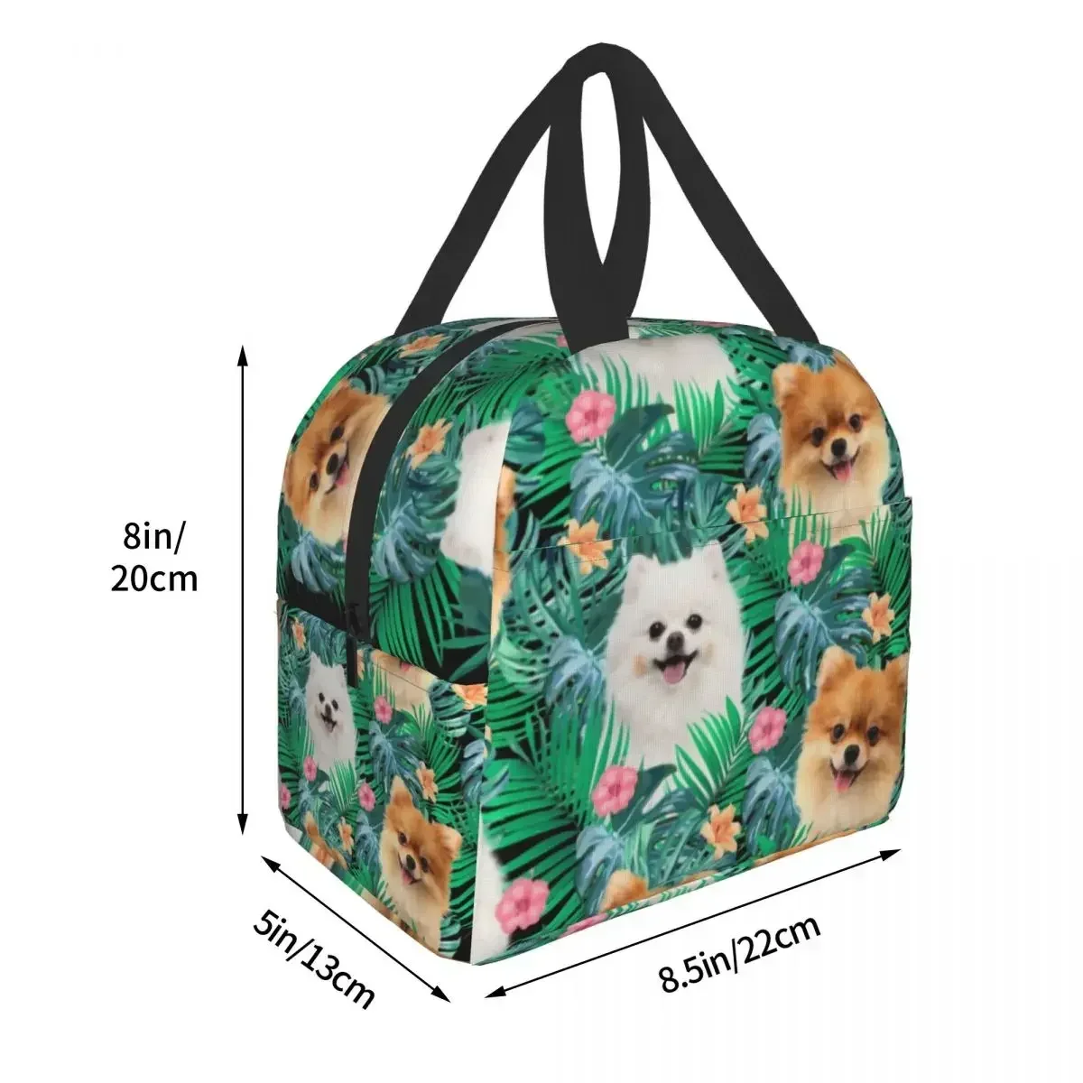 Thermal Cooler Bento Box para crianças, lancheira isolada para escola, escritório, pet, spitz, cachorro da Pomerânia, folha, reutilizável, mulheres, verão