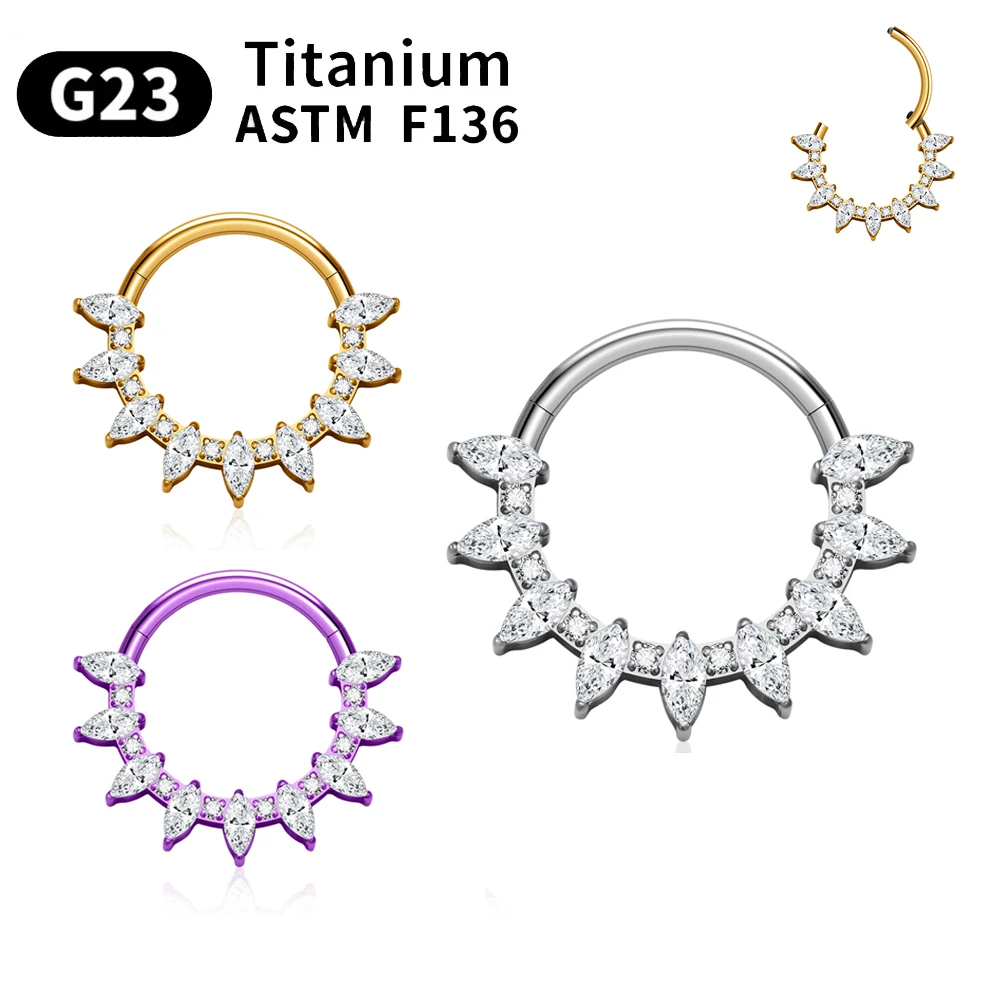 

G23 Titanium ASTM F136 Hoop Nose Ring For Women 16G CZ Hinged Clicker Segment Piercing Jewelry Hoop Earrings