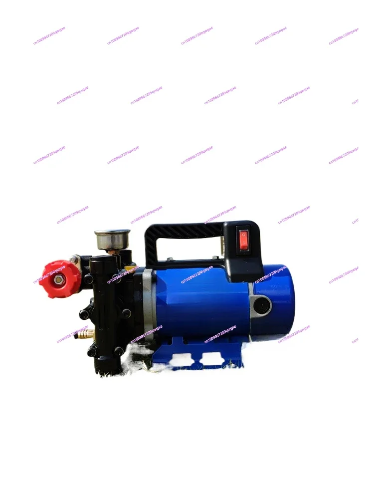 Double Cylinder Plunger Pump Sprayer  12V48V60V220V High Pressure Agricultural Electric