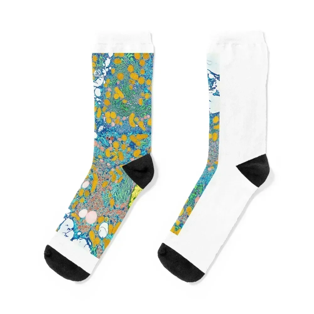 

Liver cells, TEM (P530/0191) Socks cycling funny gift gym heated Boy Child Socks Women's
