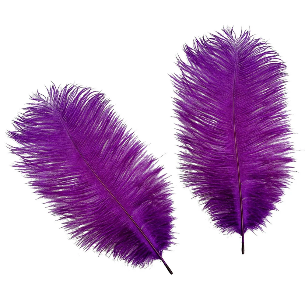 

10pcs Natural Ostrich for Crafts Trimmings Parties Costumes Home Wedding Purple Art Supplies Accessories DIY