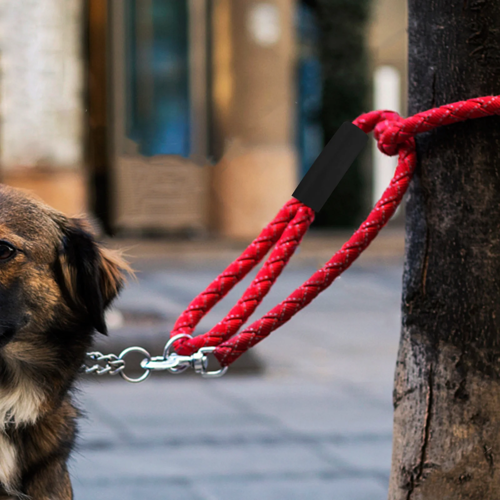 

5Pcs Pet Leash Handle Sleeve with Soft Sponge Non-Slip Leash Accessory for Dog Walking Outdoor Activities