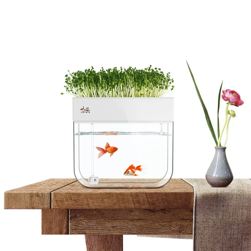 Small Aquarium Symbiosis Kit Fish And Vegetable Hydroponic Aquaponics Growing Systems For Home