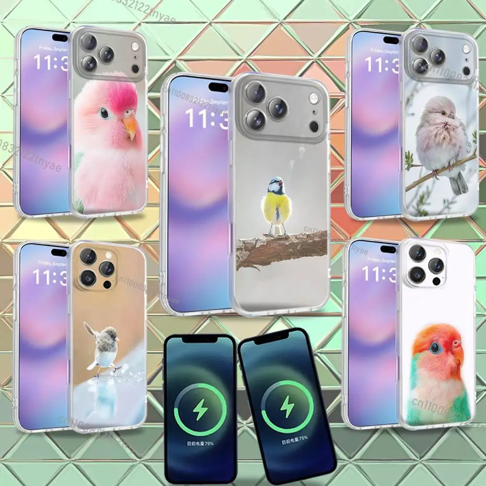 

Cute and fun little birds Phone Case For iPhone 16,14,11,17,13,15,12,Air,Plus,Pro,Max,E,Mini Frosted for Magnetic Wireless TPU