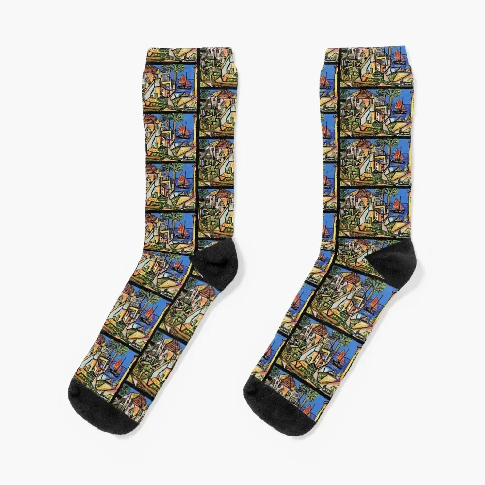 South of France by Colin Michael Socks anti-slip summer Socks Man Women's