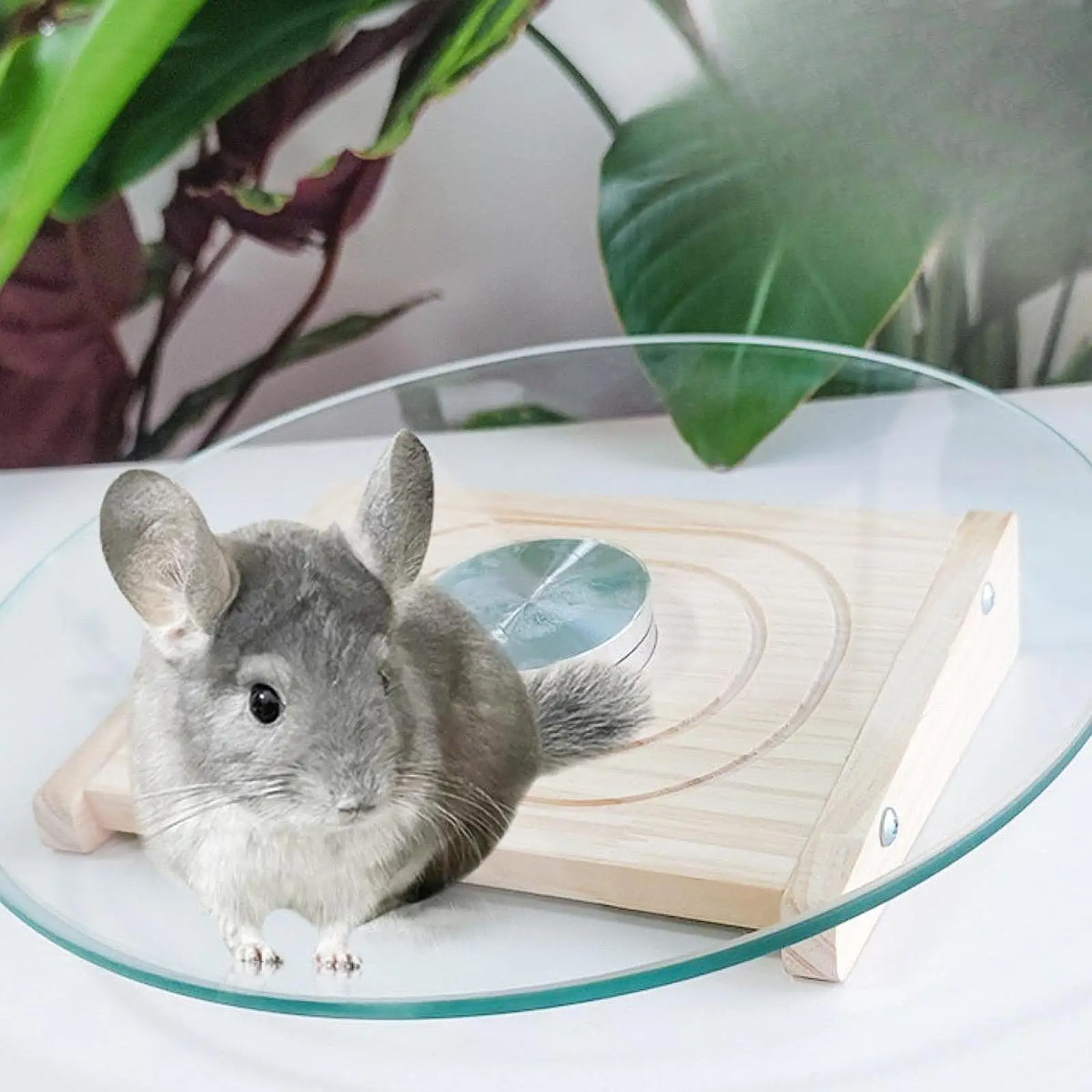 Plataforma de rueda para hámster, disco giratorio silencioso, rueda para correr silenciosa, juguete giratorio para ratones, erizo, hámster, mascotas pequeñas, ratón