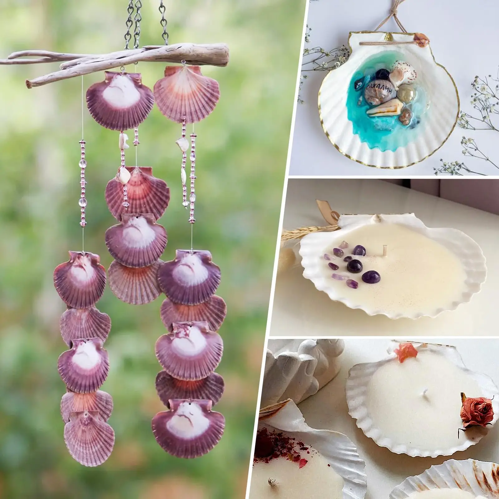 30 قطعة صدف صدف طبيعي من شاطئ البحر لديكور الحرف اليدوية لحفلات الزفاف وحفلات موضوع الشاطئ وديكورات المنزل