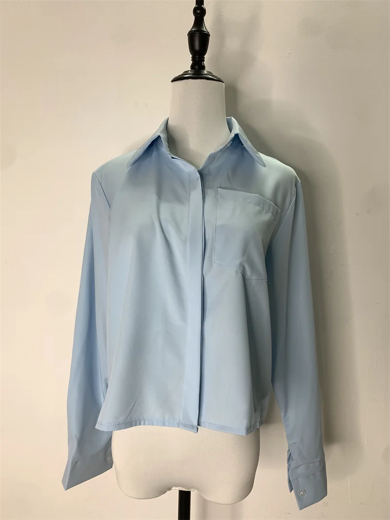 camisas e blusas 한국인 리뷰 많은 옷 Women\'s Blue Blouse Long Sleeve Shirts Elegant Spring Summer Simple Style Female Tops Shirt