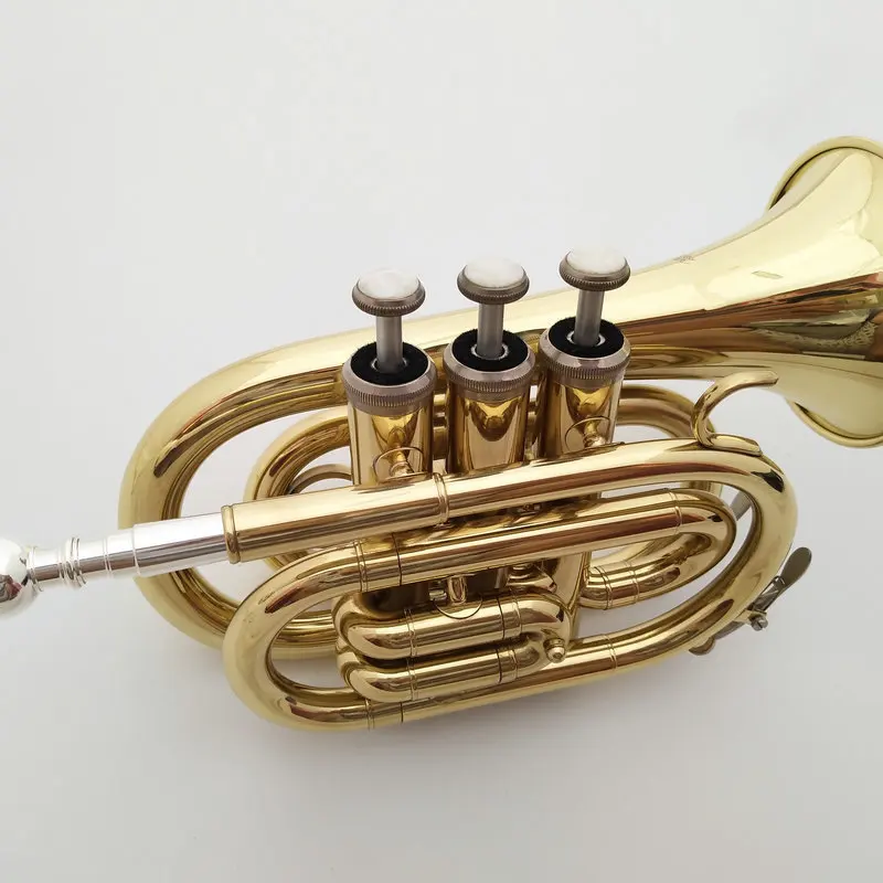 Professional Performance Pocket Trumpet Bb Key Brass Instrument with Gold Lacquer