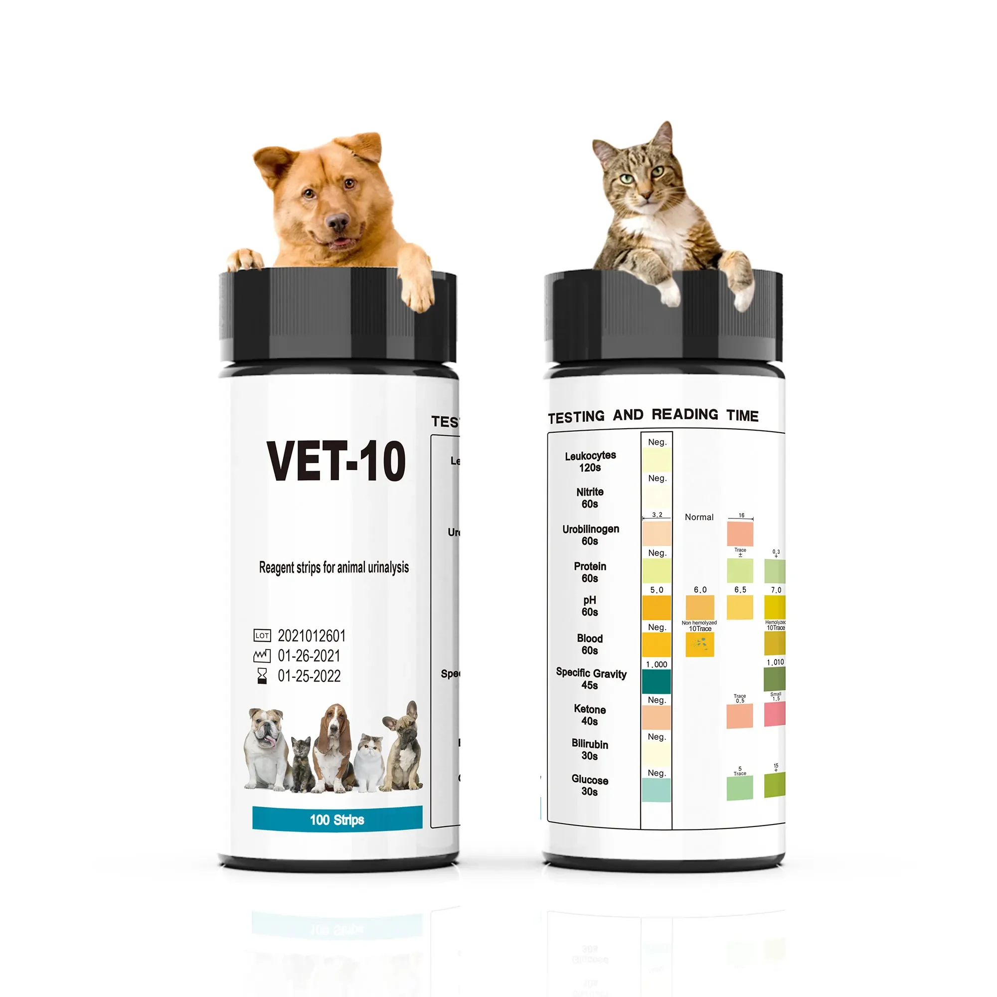 

Pet Health Urine Test Strips 10 Parameter Reagent Strips Vet-10 for Dog Cat Easy Test