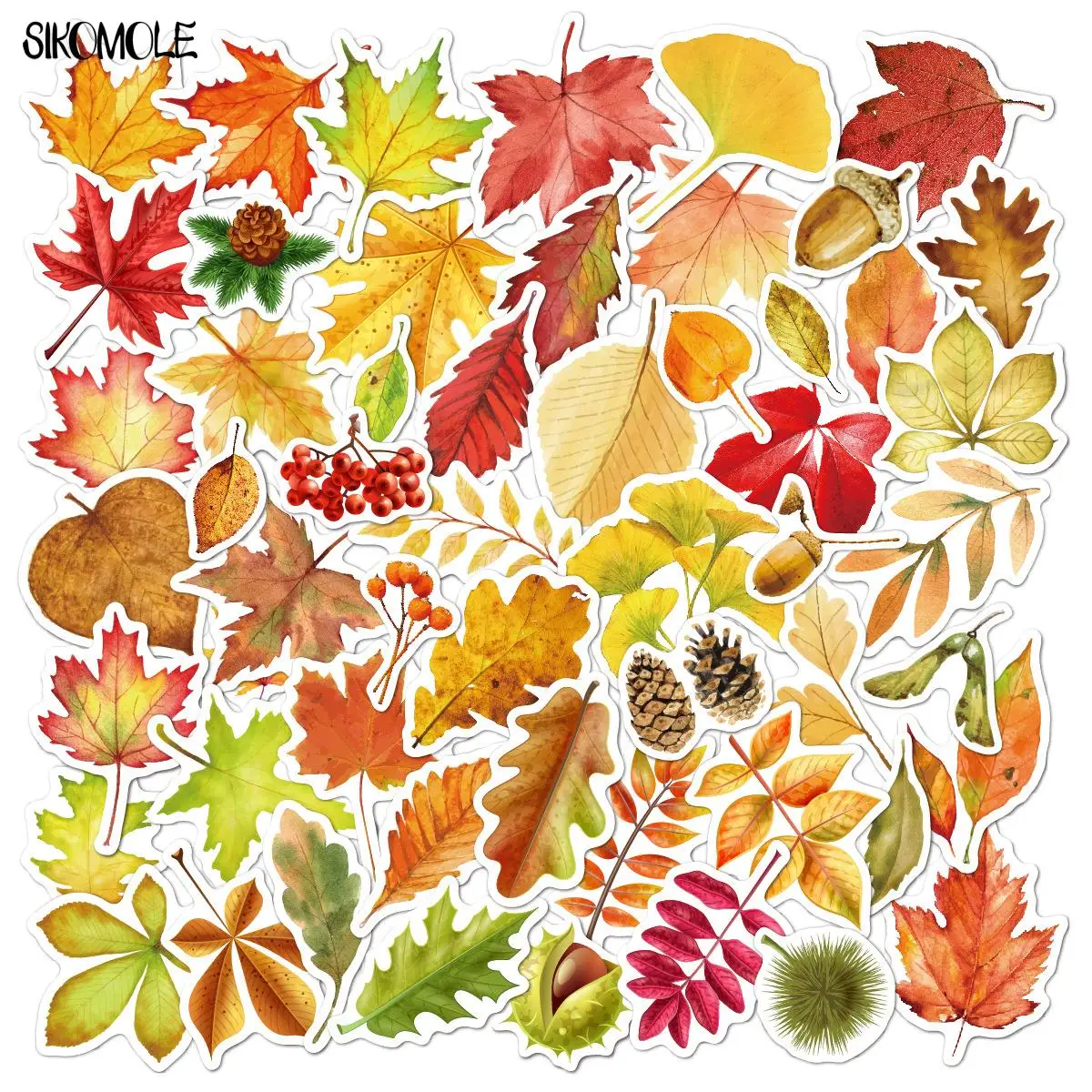 10/30/50PCS Autumn Fallen Leaves Stickers DIY Toys Skateboard Fridge Guitar Motor Laptop Luggage Kids Decals Graffiti Sticker F5