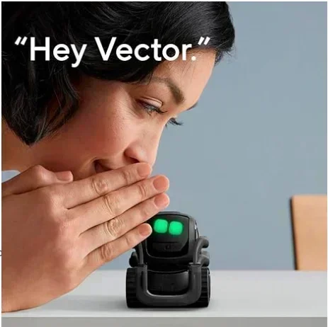 Product Details Vectors Robot By Ankis, A Home Robot Who Hangs Out & Helps Out for Facial Recognition, with Amazon