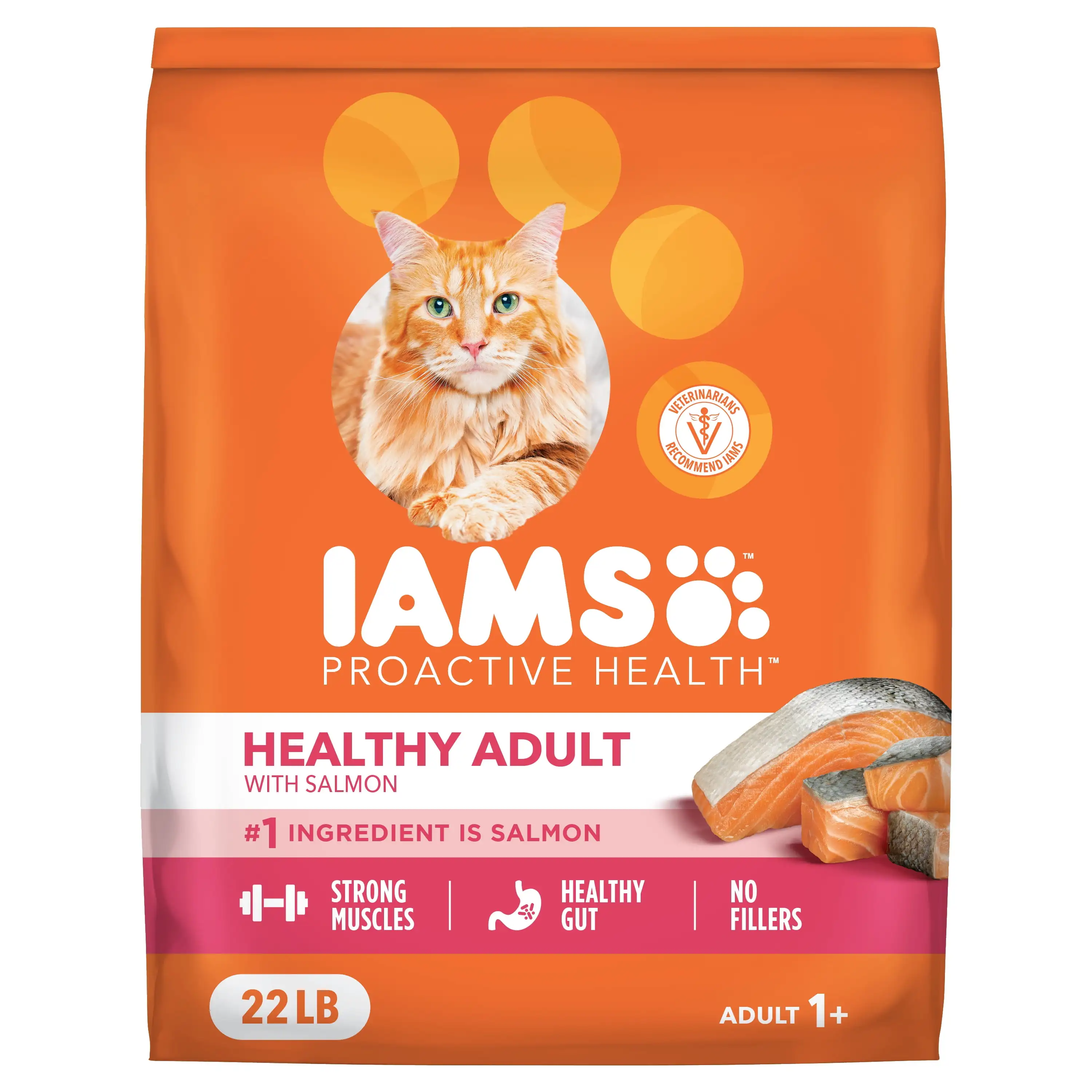 Proactive Health Adult Dry Cat Food With Real Salmon 22 lb